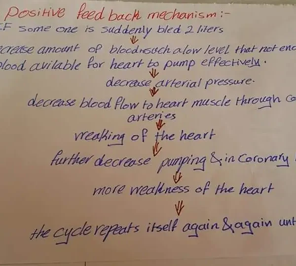 Building a future doctor:help [Mahmood]in gaza